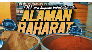 ALAMAN BAHARAT